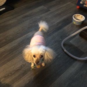 Meet your Posher, Maria